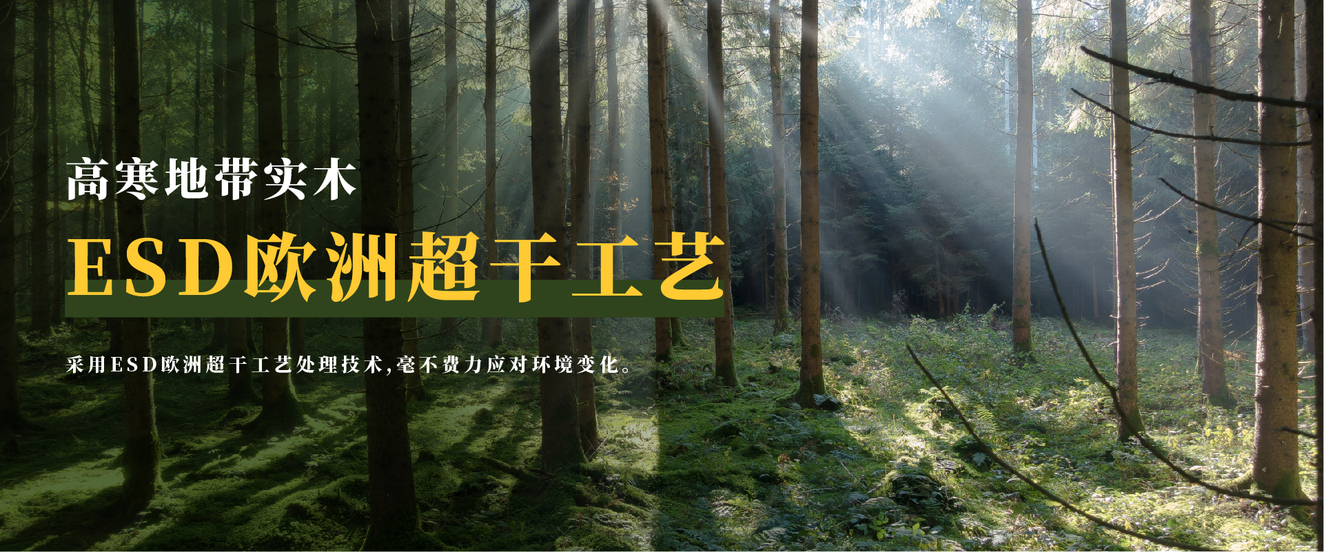 香港六宝典最新版开奖